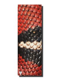 Yune Yoga Mat (Color/Pattern: Snake 5mm)